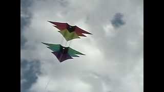 3D 49 in Triple Star Box Kite By Xkites [upl. by Sullecram]