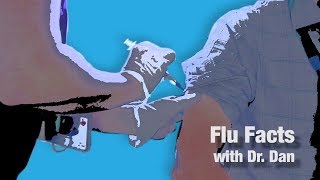 Flu Facts with Dr Dan  Is the flu contagious [upl. by Aibara259]