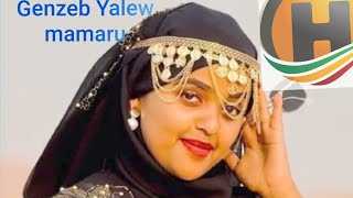 New Ethiopian Music  genzeb yalew mamaru 2024 [upl. by Haliled]