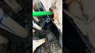 Restoring an 89 Year Old Cast Iron Pipe plumbing shorts [upl. by Pals]