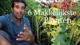 6 Makkelijke Planten Voor In Jouw Tuin [upl. by Dehnel317]