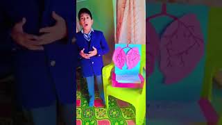 The Student of class 5th explains how the respiratory system worksThe respiratory system is resp [upl. by Elocan]