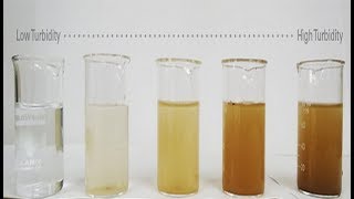 Determination of Turbidity of water Calibration and Measurement [upl. by Annawat]