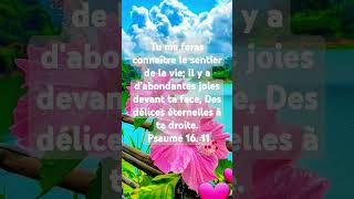 Verset biblique Psaume 16 verset 12 psaume versetbiblique [upl. by Nidroj]