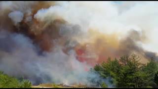 Spaventoso incendio sul monte delle Cesane PesaroUrbino 07072017 [upl. by Odelle653]