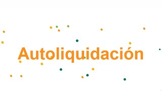 Autoliquida con Aportes en Línea [upl. by Mackenzie998]