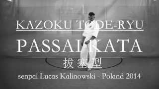 PASSAI KATA  KAZOKU TODERYU  RYUKYU KEMPO KARATE [upl. by Analla]