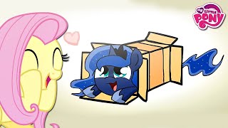 Ponies Sliding Into Box In Real Life [upl. by Seem891]