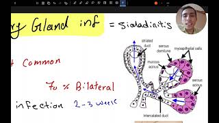 Salivary gland inflammation [upl. by Cordi632]