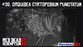 Localización múltiple Orquidea Cyrtopodium Punctatum  32Compendio Plantas  Red dead redemption 2 [upl. by Nats66]