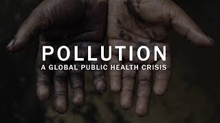 Pollution a global public health crisis [upl. by Ariet]