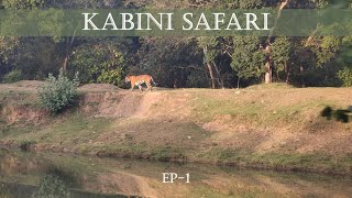 Kabini Safari  Tiger Sighting  EP  1 [upl. by Onailime143]