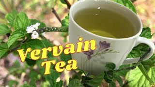 Vervain Tea HEALTH BENEFITS  HOW to MAKE Vervain Tea  Remedy for RESPIRATORY PROBLEMS [upl. by Nahtal]