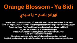 Orange Blossom  Ya Sidi أورانج بلسم  يا سيدي Netflix Marseille LYRICS FRANÇAISالعربيةENGLISH [upl. by Adnawed]