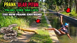 Video Lucu  Prank Ular Bikin Emosi  Terlucu Paling Extreme prank viral funny [upl. by Airod]