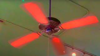 Casablanca Delta and Concord Decorama Ceiling Fans [upl. by Elocal]