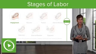 Stages of Labor Stages 1 2 amp 3 of Normal Labor – Obstetrics  Lecturio [upl. by Eceela]