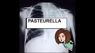 Pasteurella [upl. by Auerbach753]