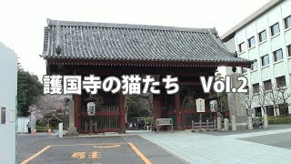 護国寺の猫たち Vol2 [upl. by Ethan143]