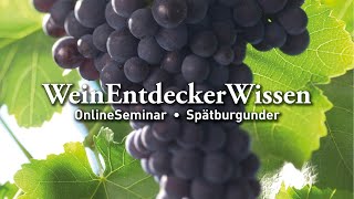 🍇 Spätburgunder – WeinEntdeckerWissen OnlineSeminar 🍇 [upl. by Crowns877]