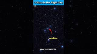 3 Stars in the Night Sky shorts ytshorts stars nightsky orionstar [upl. by Shum]