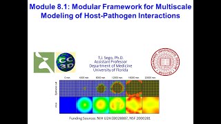 CC3D WS 81 Infection Modeling TJ Sego August 10 2023 [upl. by Edeline]