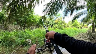 MANCING GABUS DI PARIT PERUSAHAAN SIZENYA GAK UKURAN [upl. by Archibold]