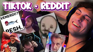 REACTION TIKTOK  REDDITATA XL  BLUR [upl. by Delmor173]