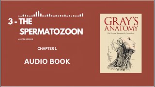 3  THE SPERMATOZOON  EMBRYOLOGY  CHAPTER 1  ANATOMY OF THE HUMAN BODY  BY HENRY GRAY AUDIOBOOK [upl. by Ahmed]