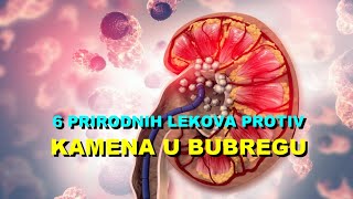 6 PRIRODNIH LEKOVA PROTIV KAMENA U BUBREGU [upl. by Enitsirhc36]