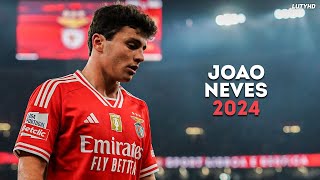 João Neves 2024  World Class Skills Goals amp Assists  HD [upl. by Inram928]