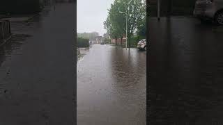 Live overstroming in Vogelwaarde Nederland 16 mei 2024 [upl. by Franckot]