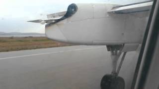 Aborted takeoff due to bird strike [upl. by Ilat]