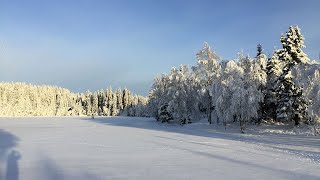 La forêt de Nordmarka à Frognerseteren non loin dOslo [upl. by Witcher]