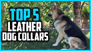 ✅Top 5 Best Leather Dog Collars in 2024 [upl. by Howe]