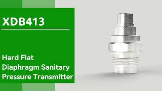 XDB413 Series – Hard Flat Diaphragm Sanitary Pressure Transmitter for Polyurethane Foaming Machines [upl. by Yonit]