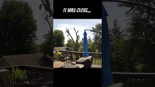 Close Call Caught on Ring Camera treework arborist stihl treeclimb treesurgeon treeremoval [upl. by Kelda113]