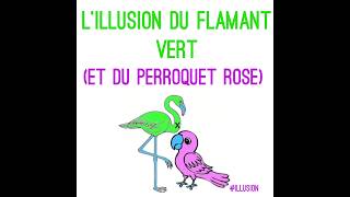 Lillusion du flamant vert et du perroquet rose🦩✨ [upl. by Eenaffit]