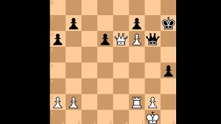 Boris Spassky vs Bent Larsen  Palma de Mallorca 1969 chess [upl. by Yenohtna124]