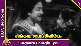 Manohara Movie Songs  Singaara Paingkiliye Video Song  Sivaji Ganesan  Rajkumari  Pyramid Music [upl. by Claudette]