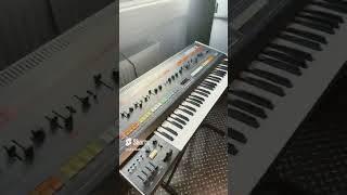 Watch my mate Jimmie multisample Pete Townshends Jupiter 8 on his Akai MPC1 [upl. by Helbona]