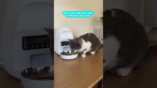 Smart Feeding Fun Dogness Programmable Feeder 🐾🍽️ [upl. by Delaney204]