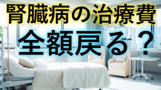 腎臓病の治療に掛かった費用が全額戻るかも？ [upl. by Maples]