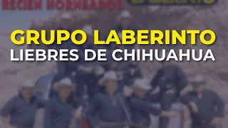 Grupo Laberinto  Liebres de Chihuahua Audio Oficial [upl. by Amrita]