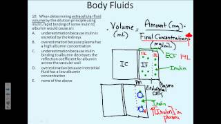 Body Fluids 10 [upl. by Vudimir]