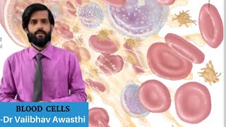 All about Blood  Plasma  Formed Elements  RBC  WBC  Platelets  Details  NEET NCERTDr Vaibhav [upl. by Aynat518]