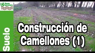 La necesidad de CONSTRUIR CAMELLONES 🌱🌱 – parte 12 [upl. by Abehsile750]