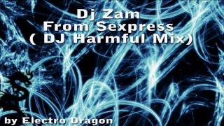 Dj Zam  From Sexpress  DJ Harmful Mix [upl. by Fineberg]