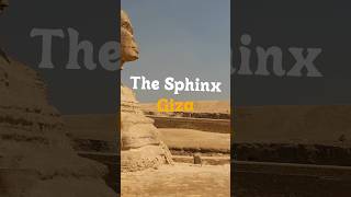 The Sphinx in Egypt is a marvel travel shorts [upl. by Caffrey74]