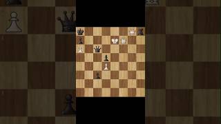 Magnus Carlsen vs Rapport chess shorts checkmate [upl. by Tallia]